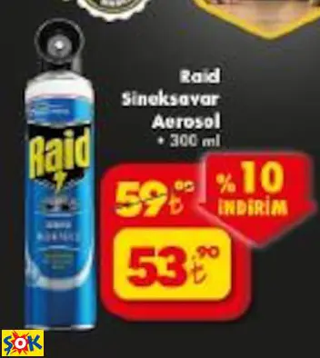 RAİD SİNEKSAVAR AEROSOL RAİD SİNEKSAVAR AEROSOL